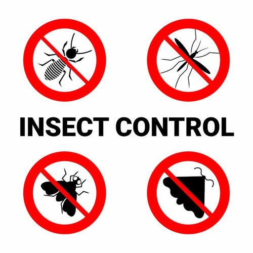 Insect & Pest Control