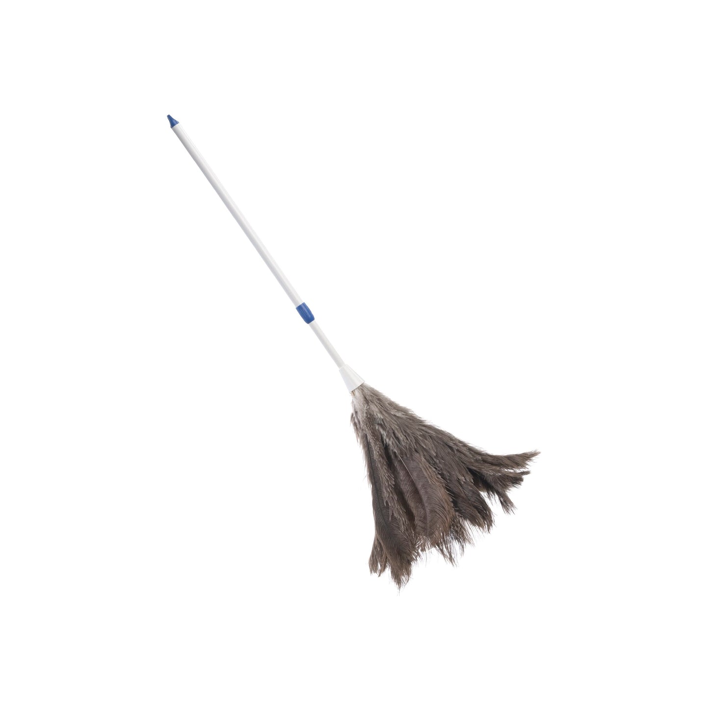 Feather Duster with extendable handle