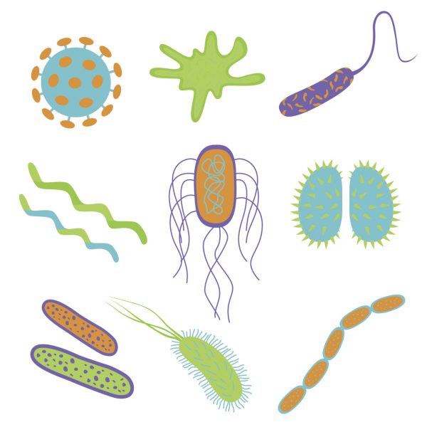 How Many Germs Are Your Hands Harbouring?