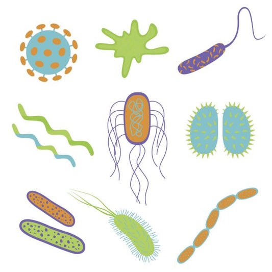 How Many Germs Are Your Hands Harbouring?
