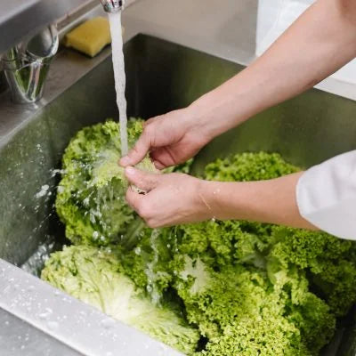 The Importance of Hand Washing Procedures for Food Handlers