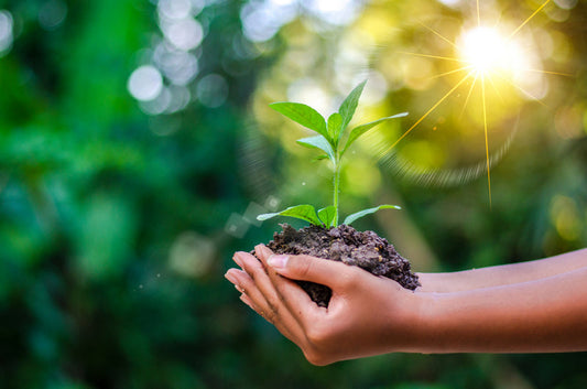 Fact or Myth – Are Hand Dryers Better for The Environment?