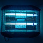 How to Use UV Light To Trap Flies?