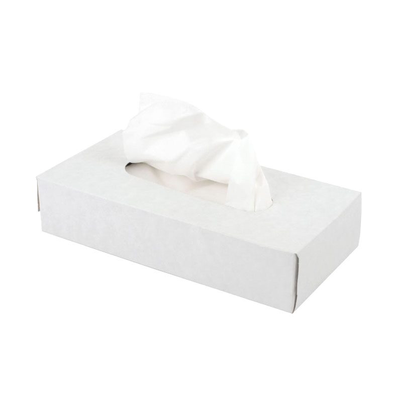 Premium Facial Tissues, 2 Ply, 100 Sheets, Bulk 48 Boxes