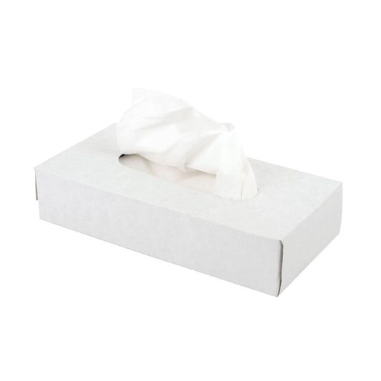Premium Facial Tissues, 2 Ply, 100 Sheets, Bulk 48 Boxes