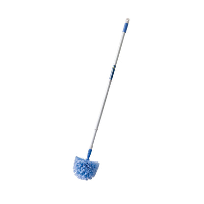 Domed Cobweb Broom