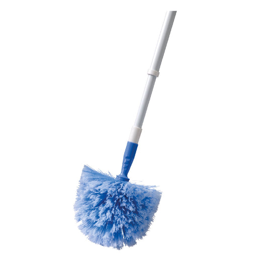 Domed Cobweb Broom