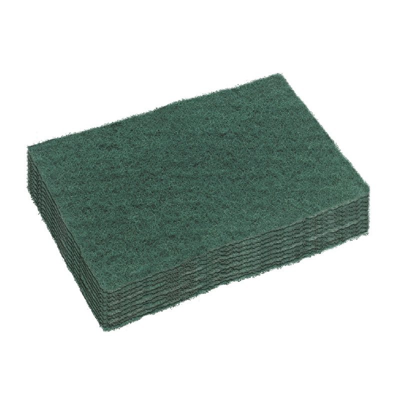 DuraClean Scour Pad Heavy Duty, 10Pack
