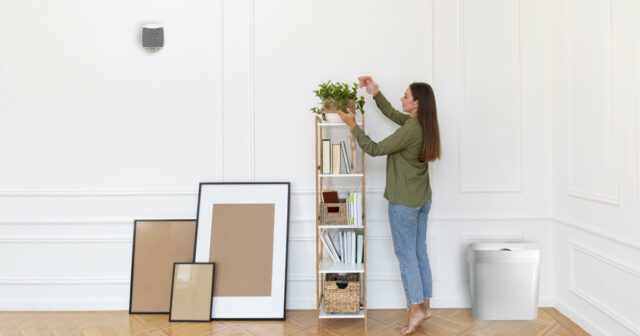 How to Declutter Your Home: Tips for a More Organized Living Space