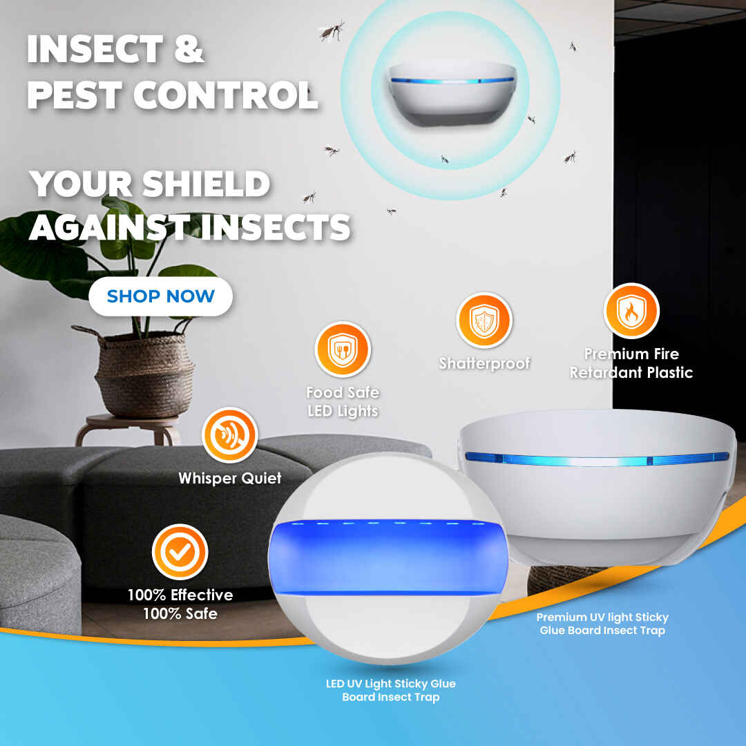 insect-and-pest-control 1